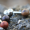 Piercing cartilage à boule de bois véritable