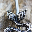 Piercing industriel � serpent bic�phale