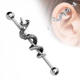 Piercing industriel � serpent gris enroul� gueule ouverte